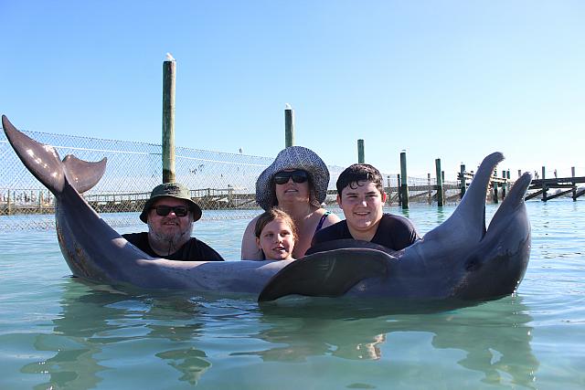family dolphin pic