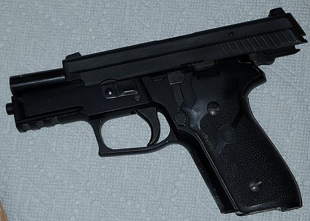 Sig229